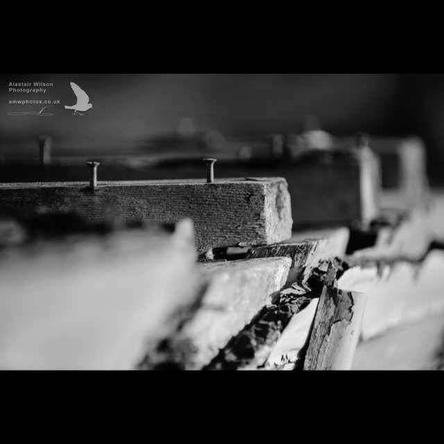 Disintegrating wood on an abandoned boat exposes the screws